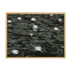 Комплект постеров в рамке "Вдохновение"