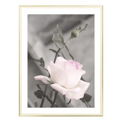 Комплект постерів в рамці "Love of my life"