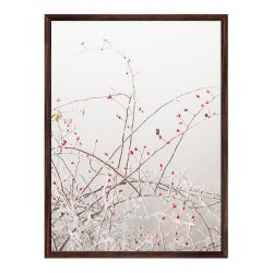 Постер "Rosehip"