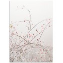Постер "Rosehip"
