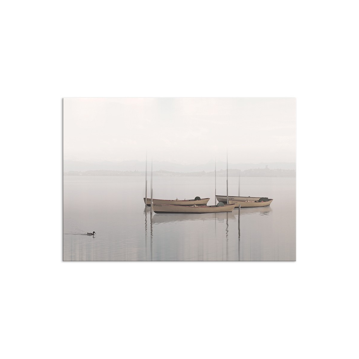 Постер "Skiff"