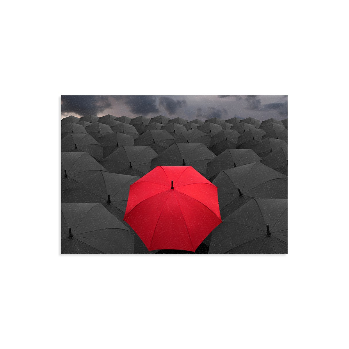 Постер "Red"