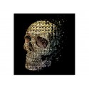 Постер "Skull"