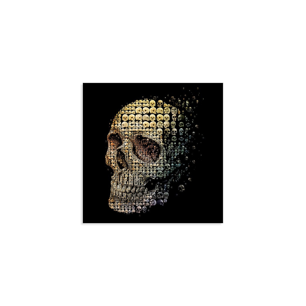 Постер "Skull"
