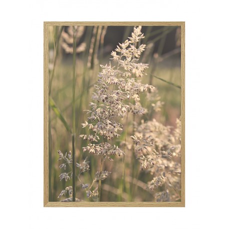 Постер "Grass"