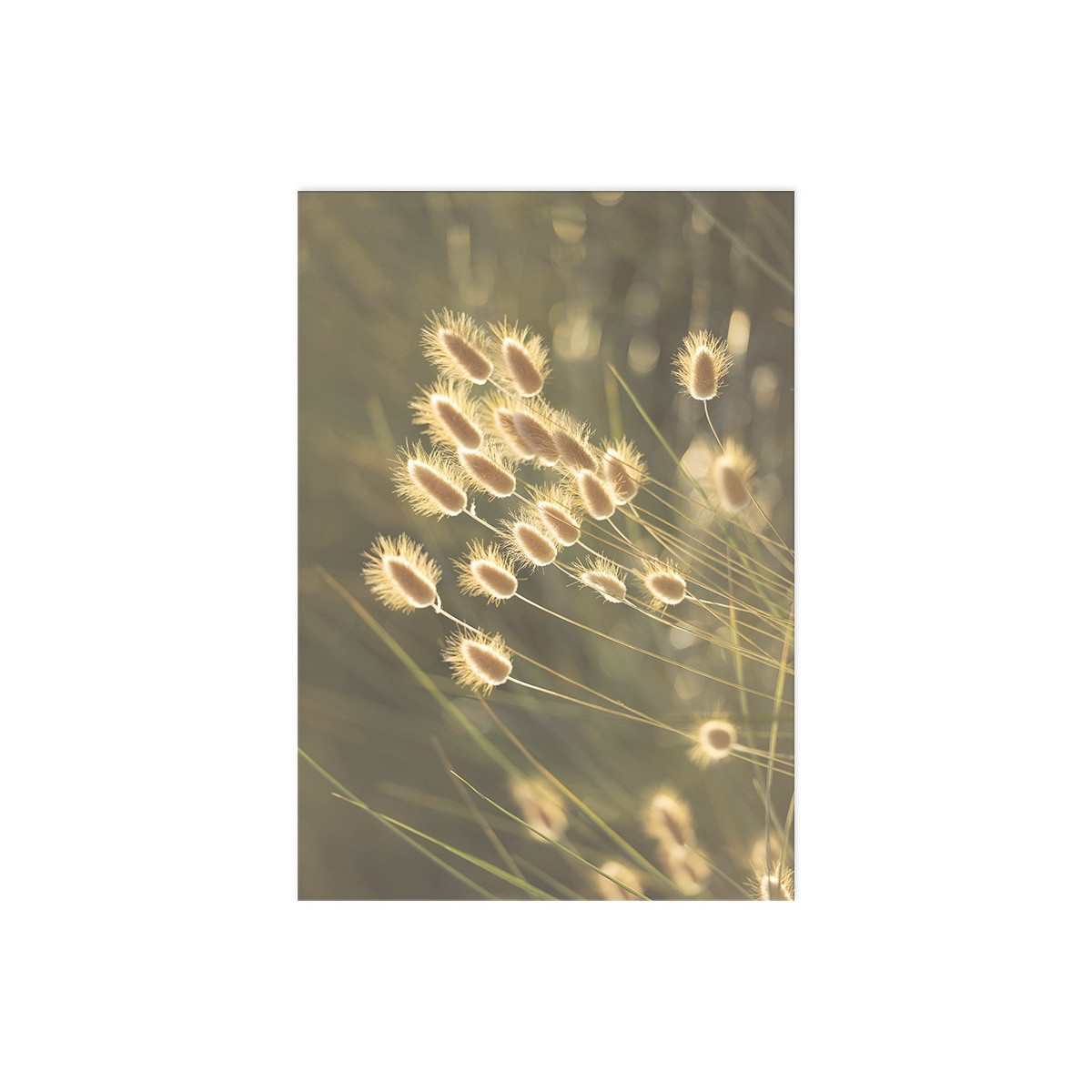Постер "Grass"