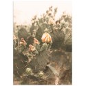 Постер "Cactus"