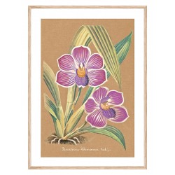 Комплект постерів в рамках "Orchid"