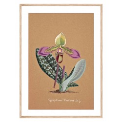 Комплект постерів в рамках "Orchid"