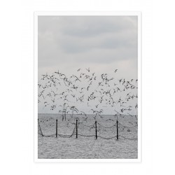 Комплект постеров в рамкках "Marine"