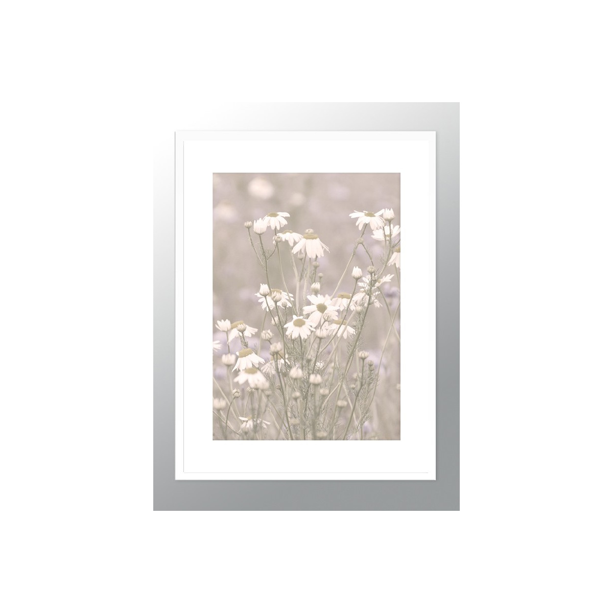 Постер в рамці "Chamomile"