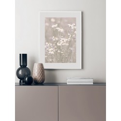 Постер в рамке "Chamomile"