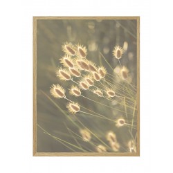 Постер в рамке "Plant"