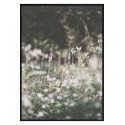 Постер в рамке "Meadow"