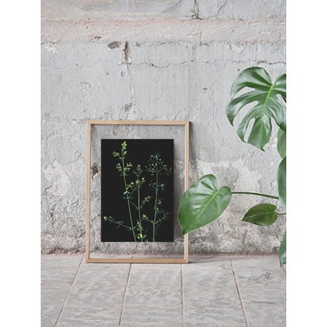 Постер в рамке "Plant"