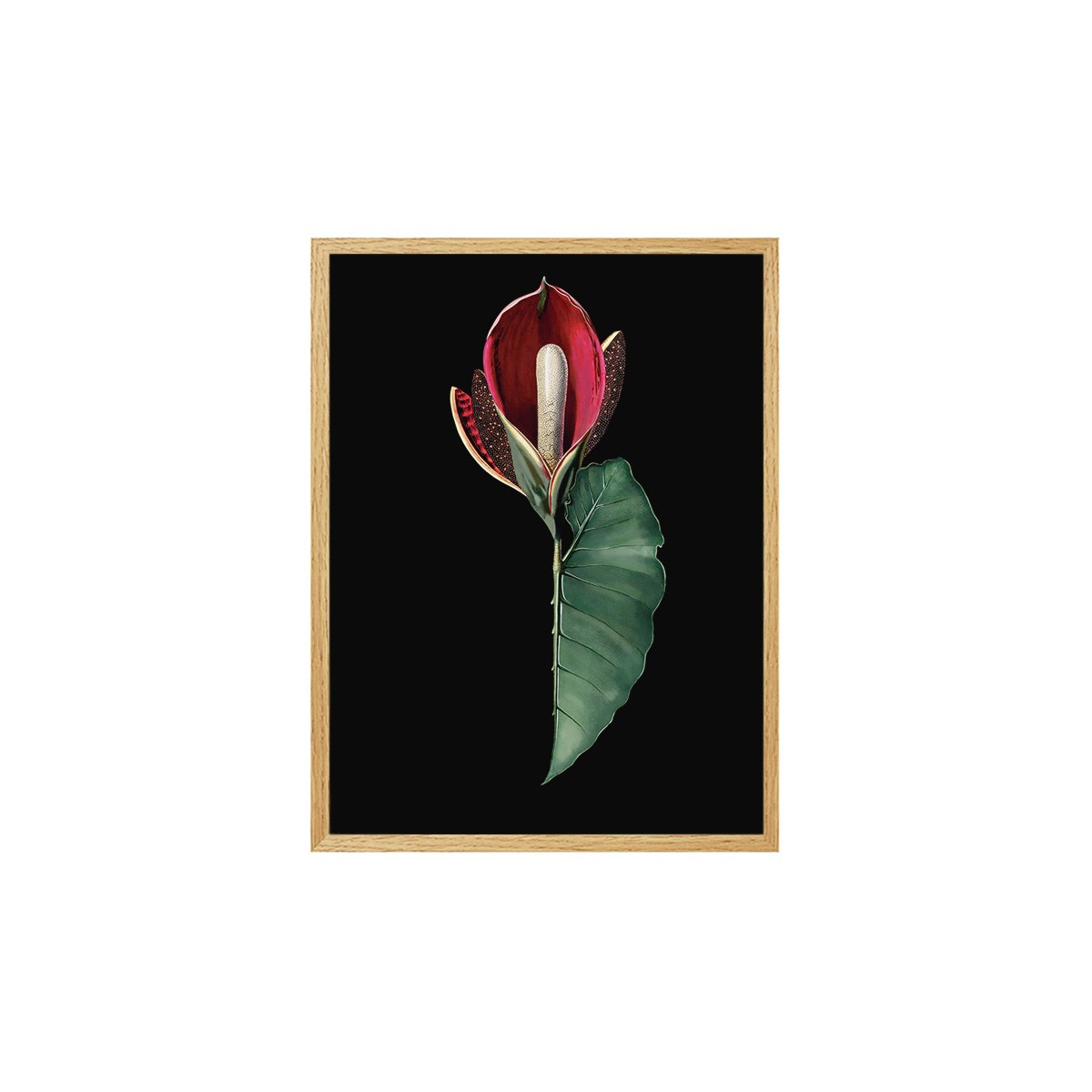 Постер в рамке "Flower"