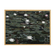 Постер в рамці "Water lily"