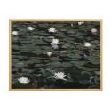 Постер в рамке "Water lily"