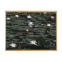 Постер в рамці "Water lily"
