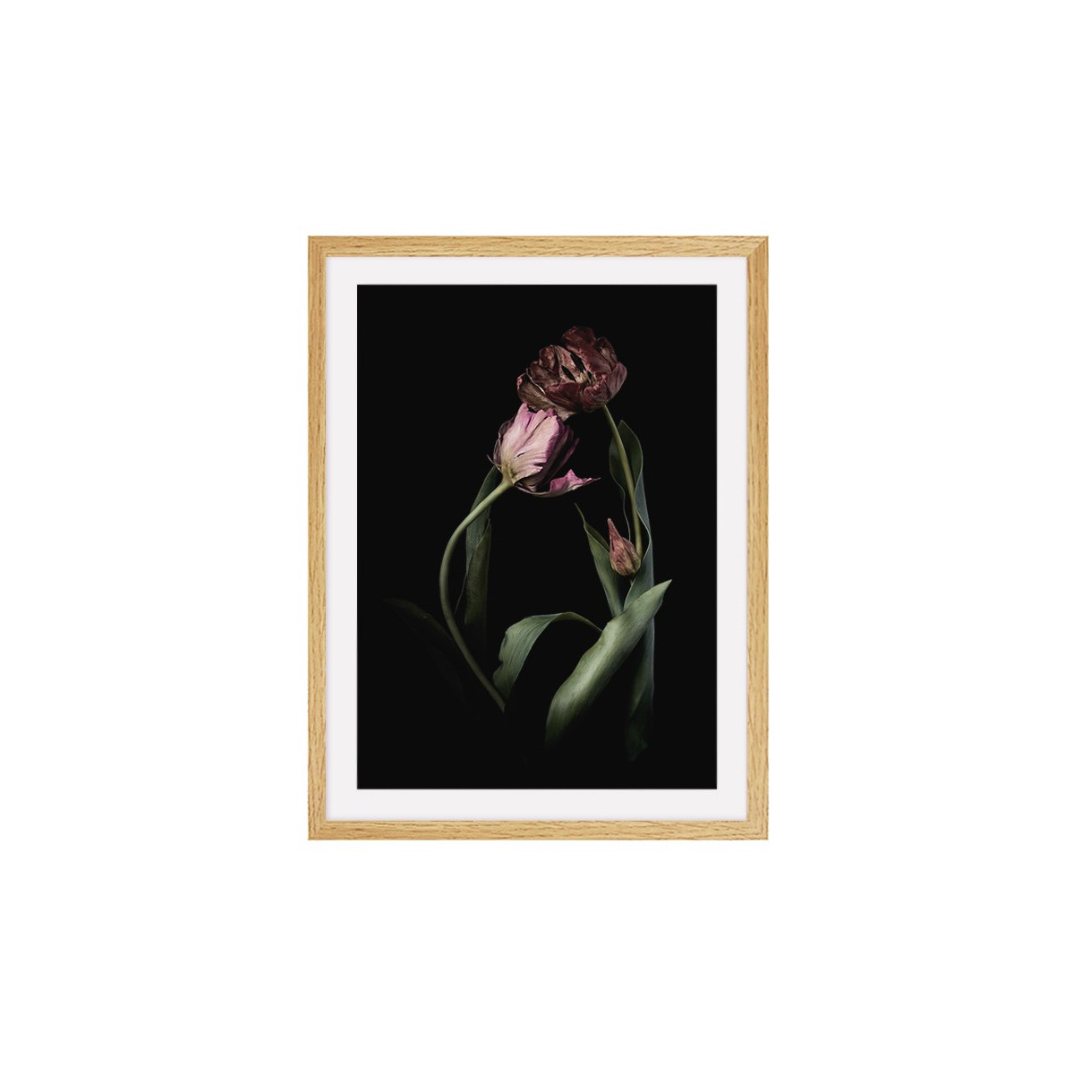 Постер в рамке "Tulip"