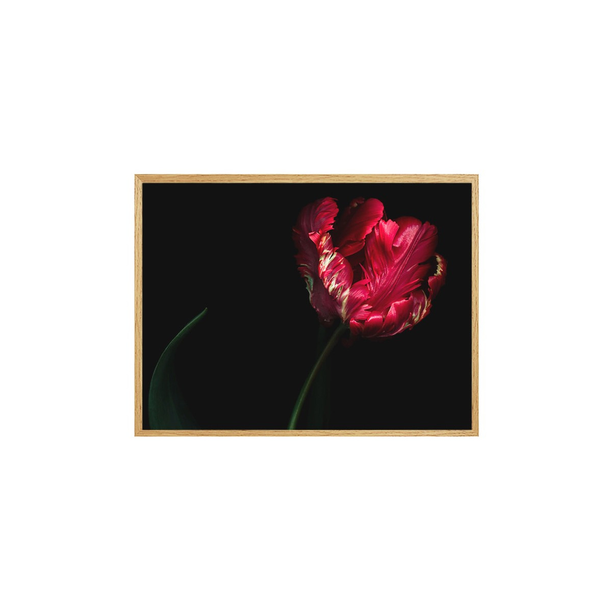 Постер в рамке "Tulip"
