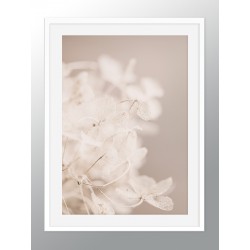 Постер в рамці "Dried flowers"