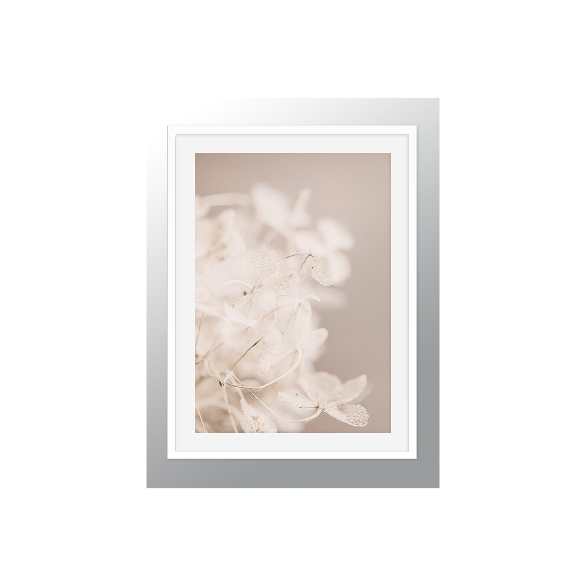 Постер в рамке "Dried flowers"