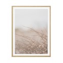 Постер в рамке "Dried flowers"
