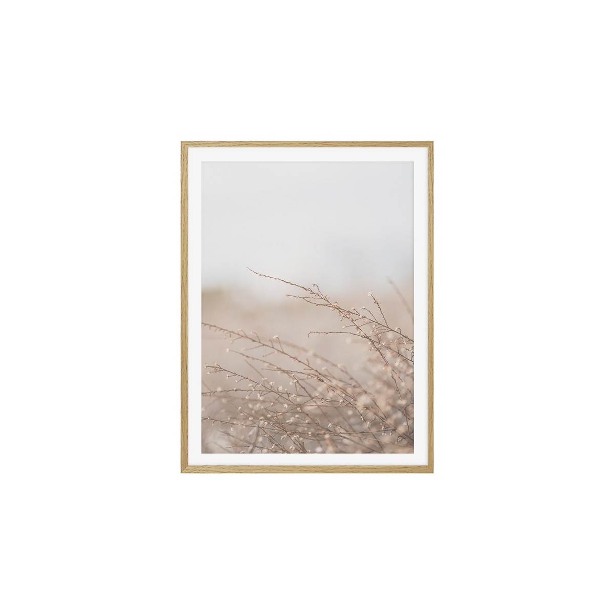 Постер в рамке "Dried flowers"