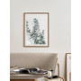 Постер в рамці "Eucalyptus"