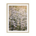 Постер в рамке "Chamomile"