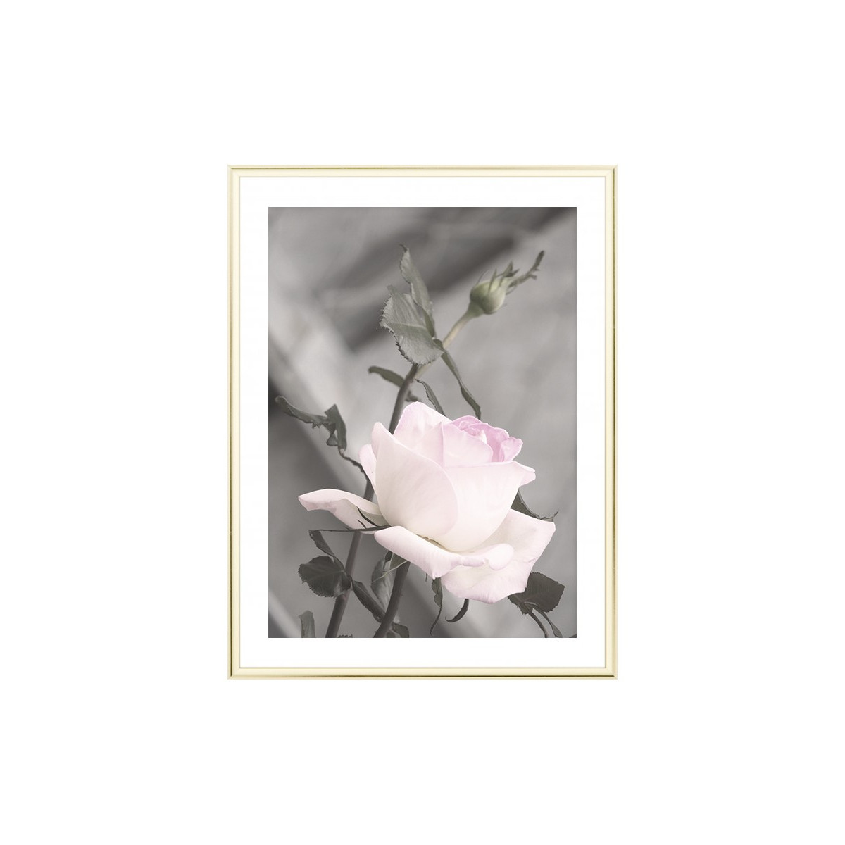 Постер в рамке "Rose"
