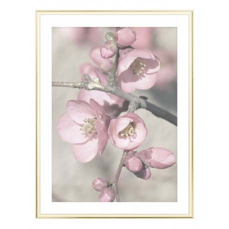 Постер в рамке "Blooming"