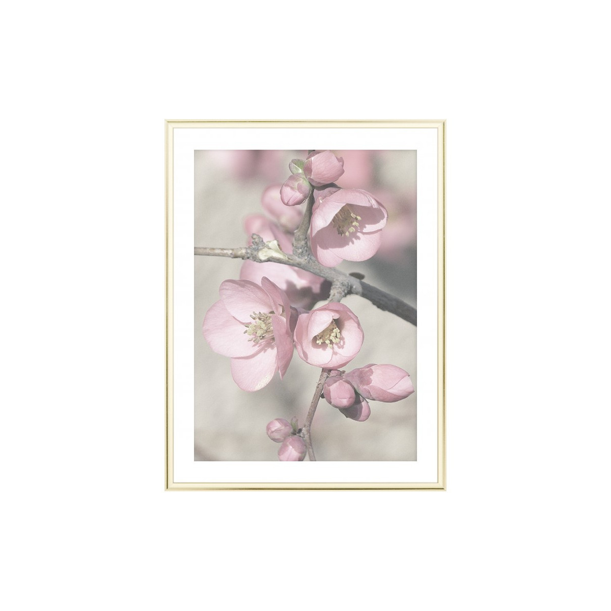 Постер в рамке "Blooming"