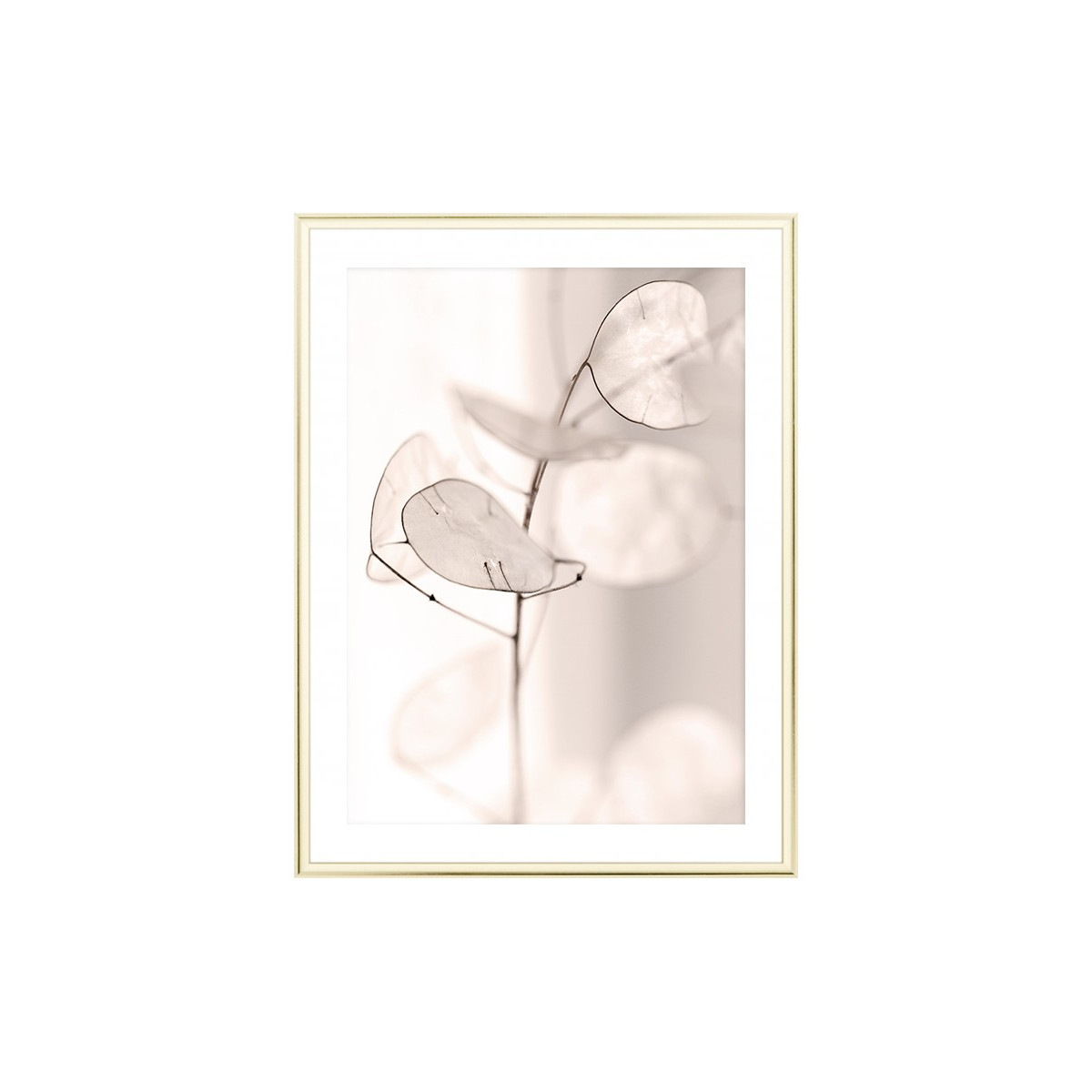 Постер в рамке "Flower"