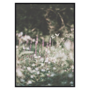 Постер "Meadow"