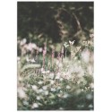 Постер "Meadow"