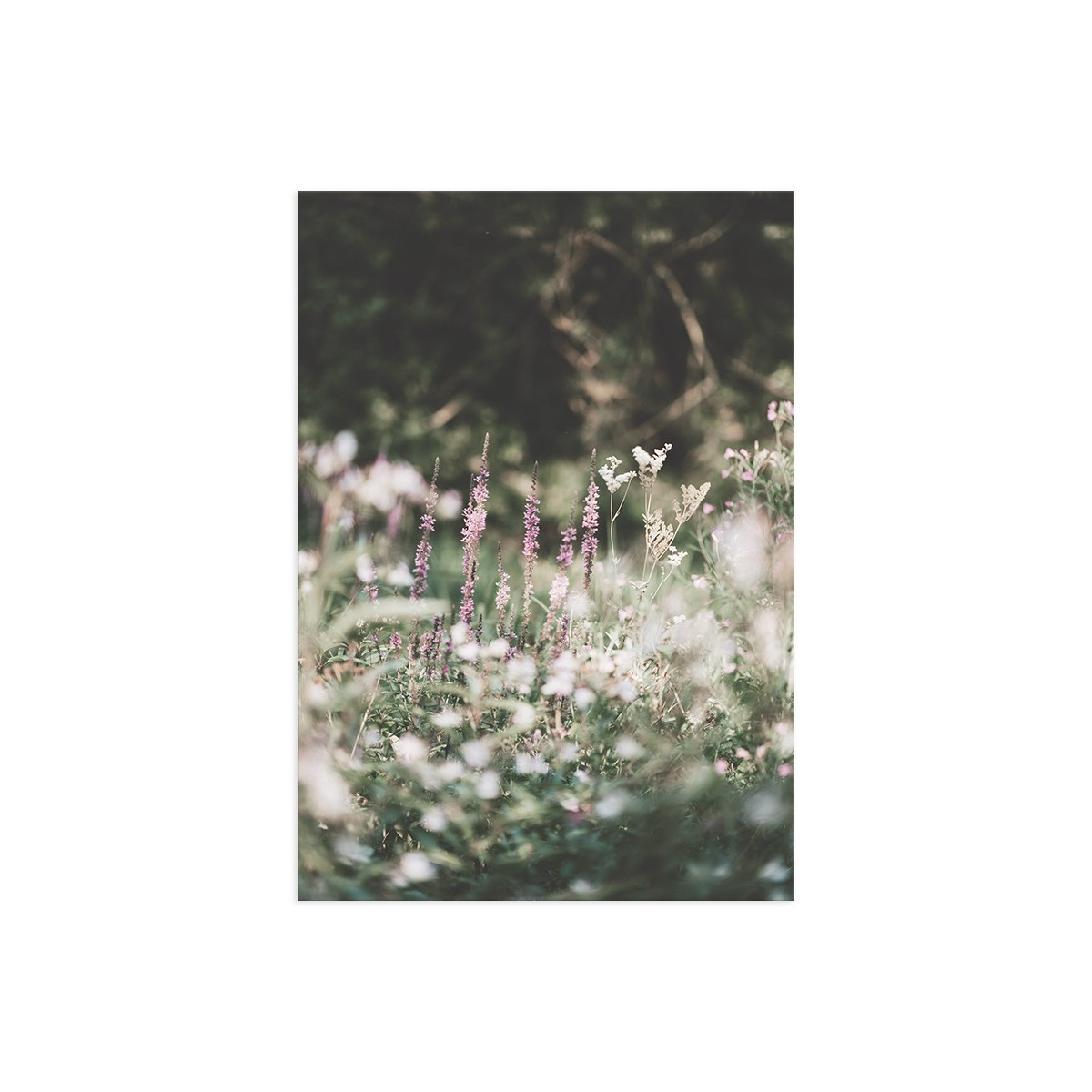 Постер "Meadow"