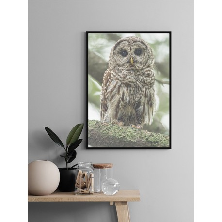 Постер "Cute Owl"
