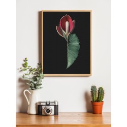 Постер "Rubidendron"