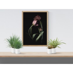 Постер "Tulips"