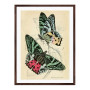 Постер "Botany. Butterflies"