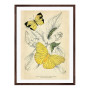 Постер в рамці "Botany. Butterflies"
