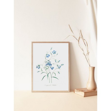 Постер "Botany. Butterflies"
