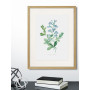Постер "Botany. Butterflies"