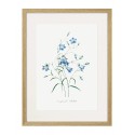Постер в рамке "Botany. Butterflies"