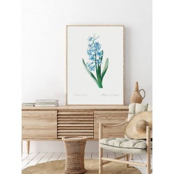 Постер в рамке "Botany. Butterflies"