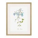 Постер в рамці "Botany. Butterflies"