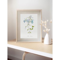 Постер в рамке "Botany. Butterflies"