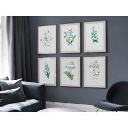 Комплект постеров в рамках "Flowers. Botany"